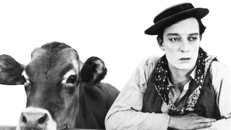 Ma vache et moi
